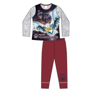 Harry Potter Pyjamas Girls Harry Potter Sleepwear Set
