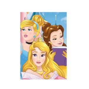 Girls Disney Princess Blanket Kids Princess Fleece Blanket